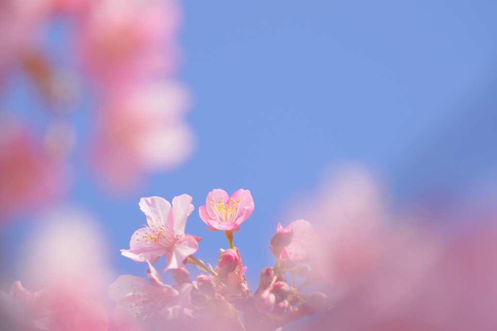 空に向かって