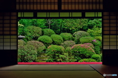 安楽寺額縁庭園