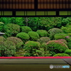 安楽寺額縁庭園