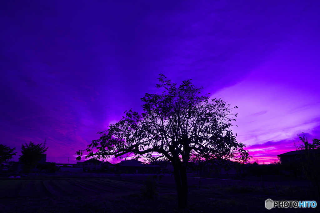 家から見上げた夕空