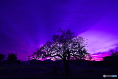 家から見上げた夕空