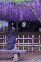 香りに包まれて