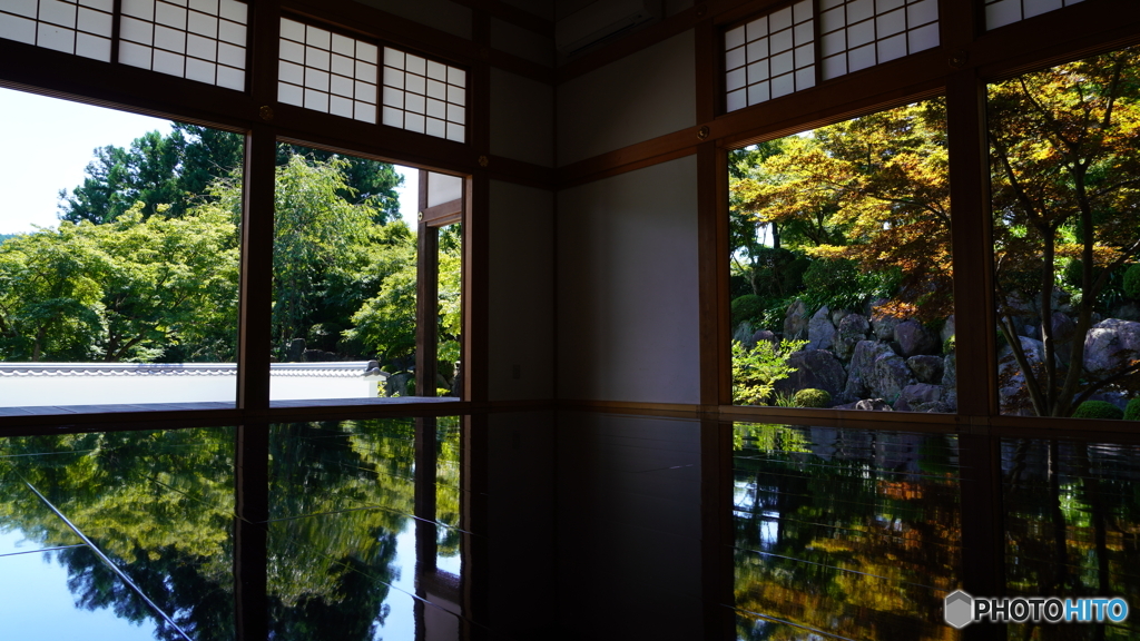 夏の光