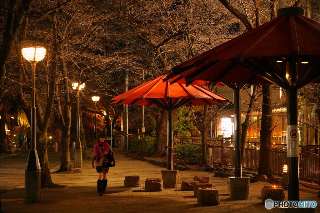 京都の夜