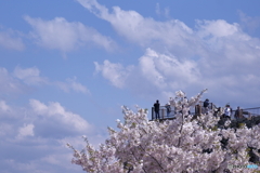 空に向かって
