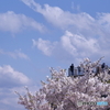 空に向かって