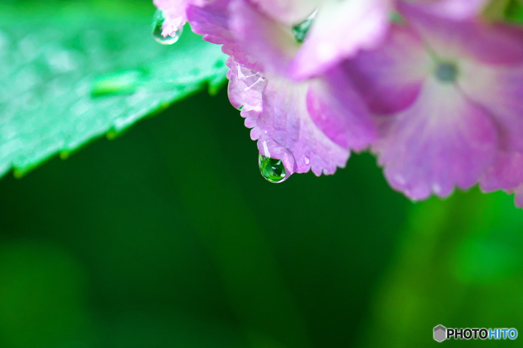 雨の日