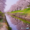 佐保川散歩