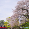 見守る