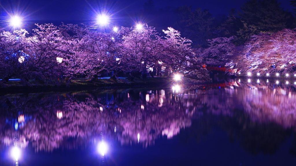 弘前公園　夜桜リフレクション