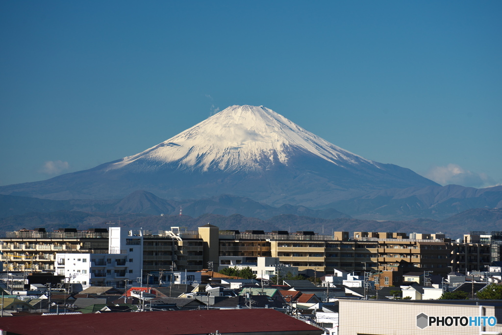 白い方がやっぱりいいなぁ