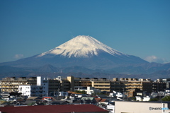 白い方がやっぱりいいなぁ