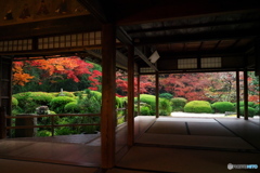 秋の思い出~詩仙堂~