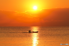 夕日を浴びて