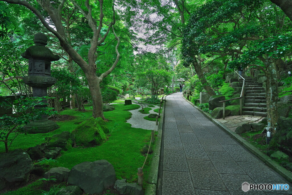 緑の庭