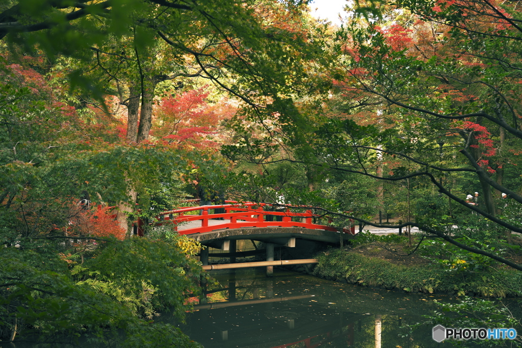 赤い橋