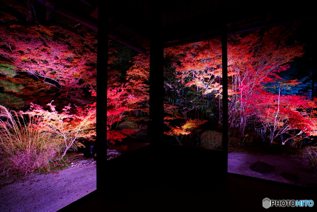 天授庵の光