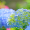 蒼い輝き