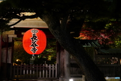 長谷ライトアップ