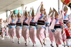 天水花笑舞＜其の六＞