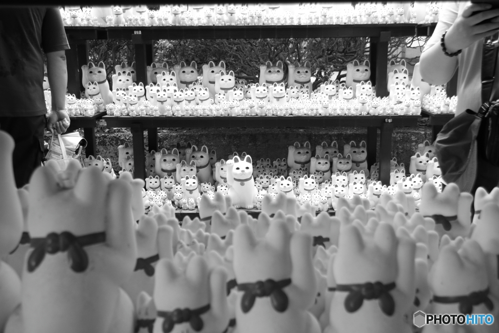あっち向いてニャン(=^・・^=)こっち向いてニャ～