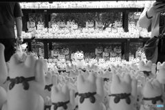 あっち向いてニャン(=^・・^=)こっち向いてニャ～