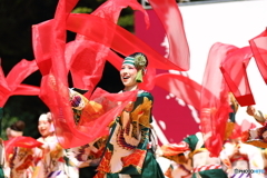 今宵、はりまや橋で“愛”ませう(^_-)-☆ ＜其の四＞