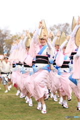 天水花笑舞＜其の五＞