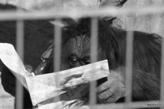 遠い世界の隣人の独り言