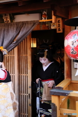 花街（はなまち）のれん #8