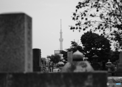 続・東京墓場