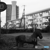 黄昏の給水塔 6