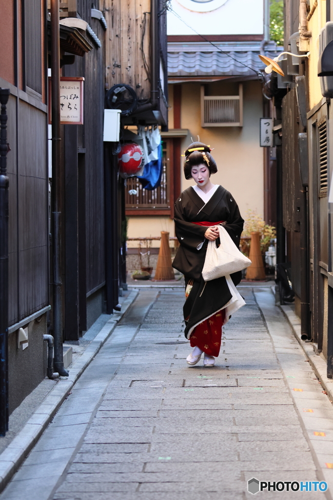 祇園寒椿＜其の二＞