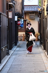 祇園寒椿＜其の二＞