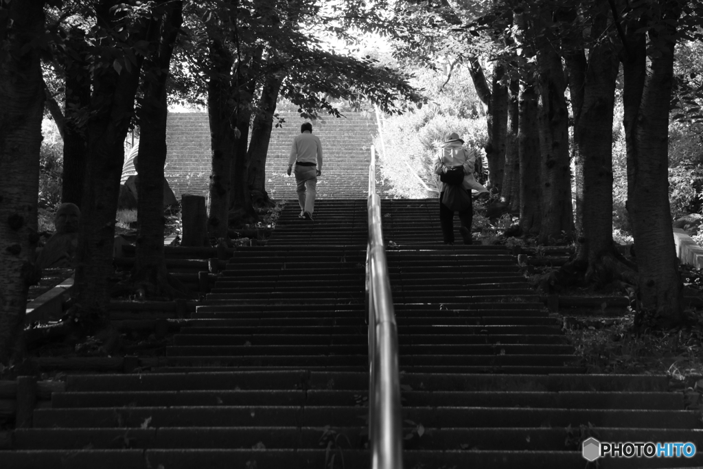 せがれや・・・