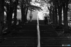 せがれや・・・