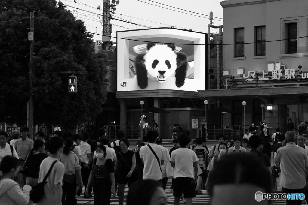 ああ上野駅～返還前にこれだけは言わせてくれ！
