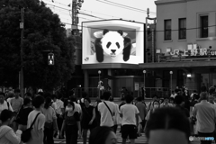 ああ上野駅～返還前にこれだけは言わせてくれ！