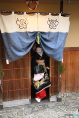 花街（はなまち）のれん #7