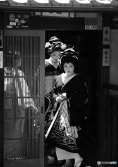 夏の陽射し、輝る花＜其の二＞
