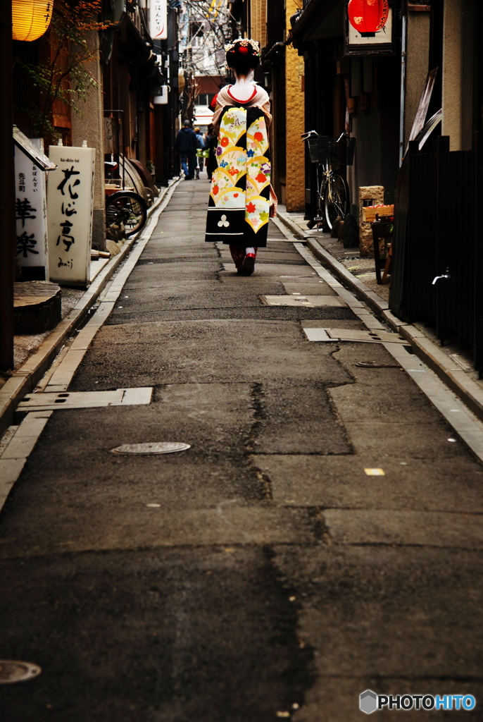花の通い路 1