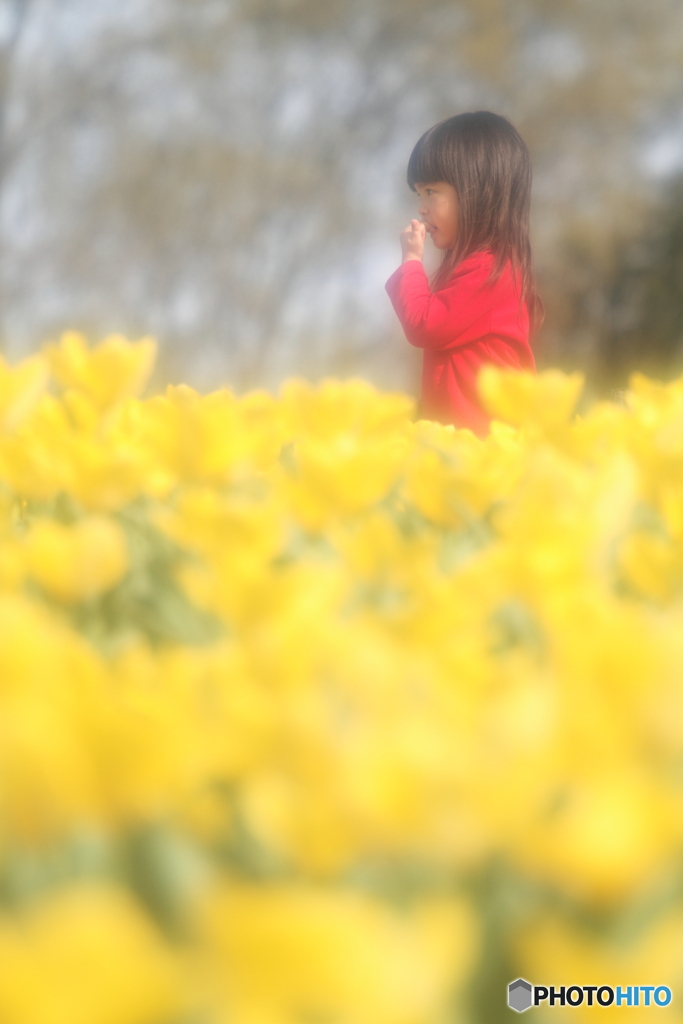 花の妖精