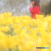 花の妖精