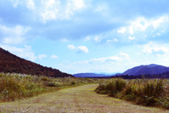 countryroad
