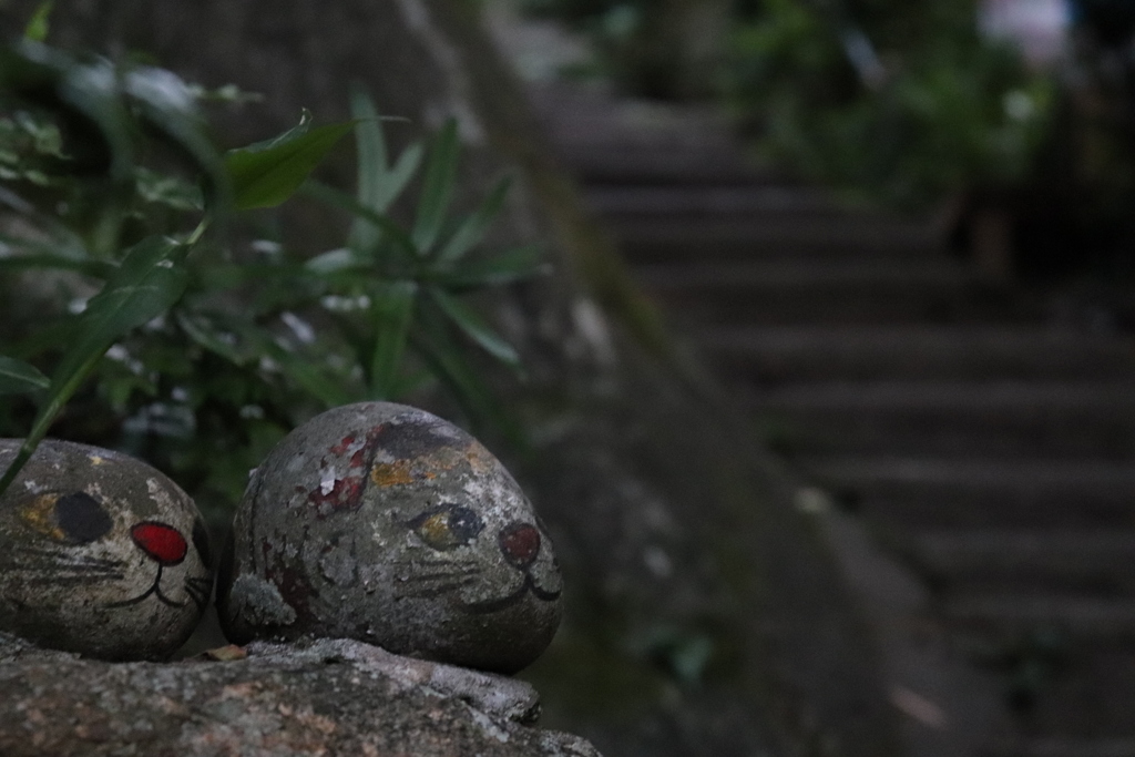 尾道 猫の細道①