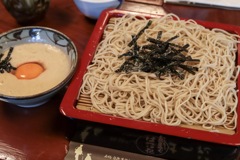 箱根スナップ