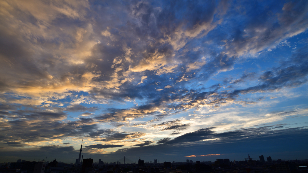 夏の空