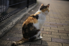 光の向こうに２