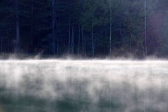 蒸気霧