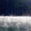蒸気霧